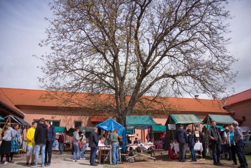 Tavaszi Gasztro fesztivál 2019